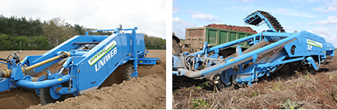 harvesting_belt
